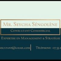 consultant commercial expertise en Management  Strategie VILLENEUVE ST GEORGES