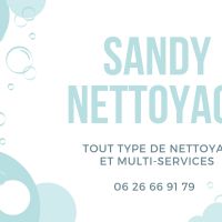 Nettoyage et multi-services ST ANDRE