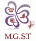 MG Secretariat  Teleservices raismes
