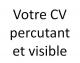 Redaction CV et diffusion sur le web Châteauneuf-Grasse